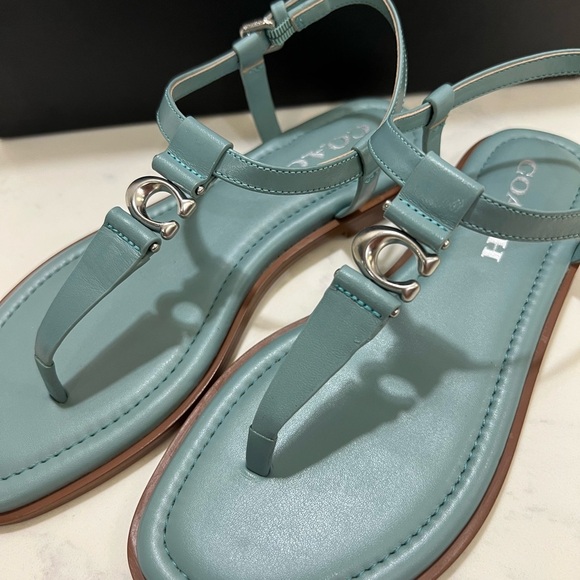 Coach Blue T-Strap Sandals with Metallic Detail - Picture 3 of 10